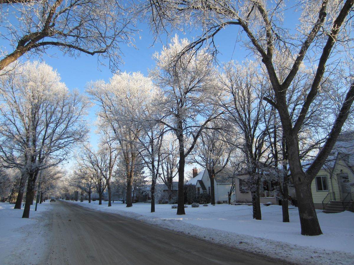 Winnipeg on a wintery day