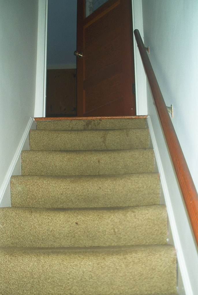 Details on carpet stain removal