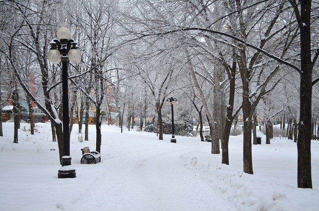 Activities for a Winter Day in downtown #Winnipeg
