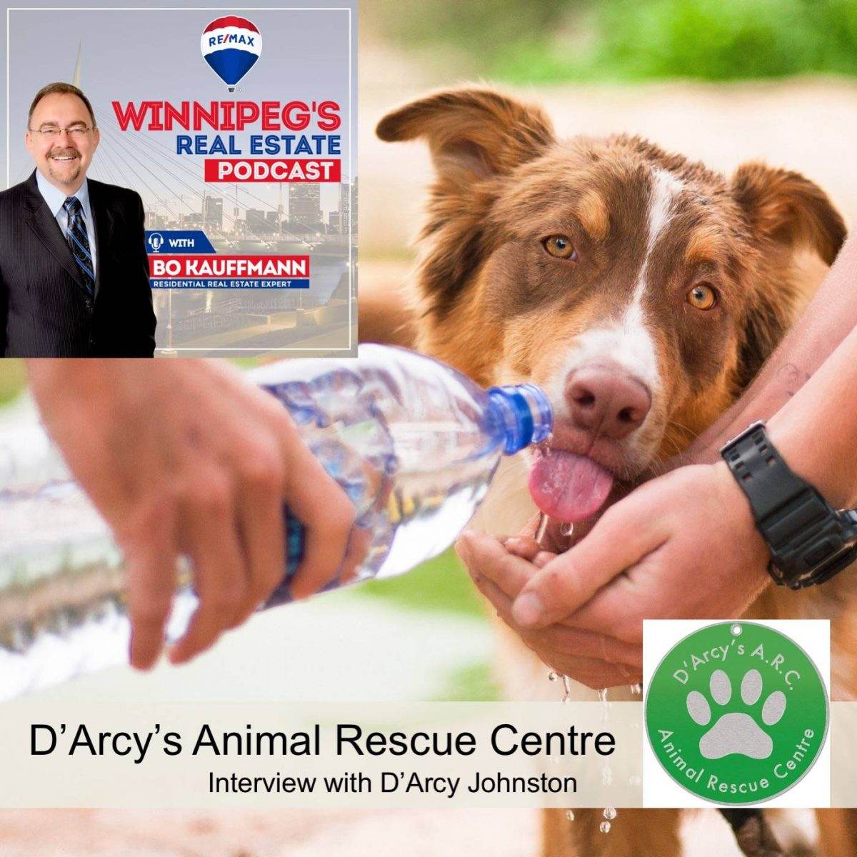 D’Arcy’s Animal Rescue Centre – Interview – History – Stories