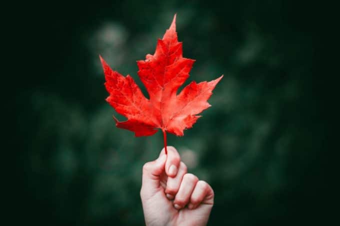Fall Decoration Tips For Your Home Real Estate Times fall decorating Fall Decoration Tips For Your Home