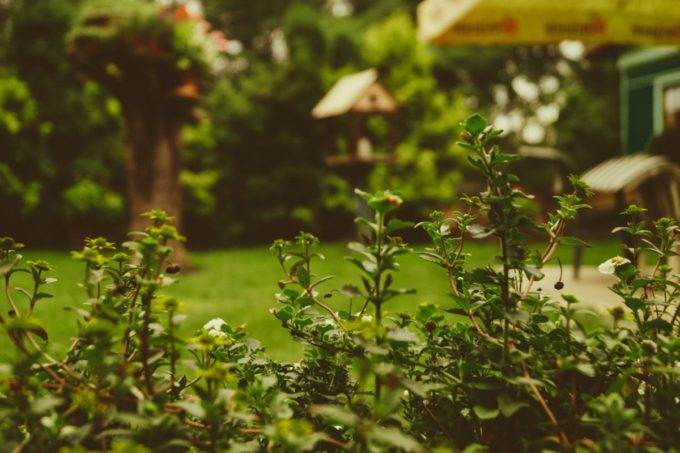 5 Features Luxury Home Buyers Will Love in 2021 Real Estate Times 5 Features Luxury Home Buyers Will Love in 2021