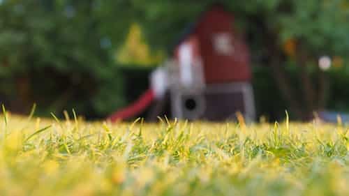 5 Simple Yard CleanUp Tips Real Estate Times yard cleanup 5 Simple Yard CleanUp Tips yard cleanup