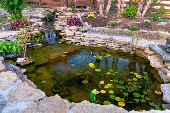 A koi pond is one of the interesting backyard upgrades