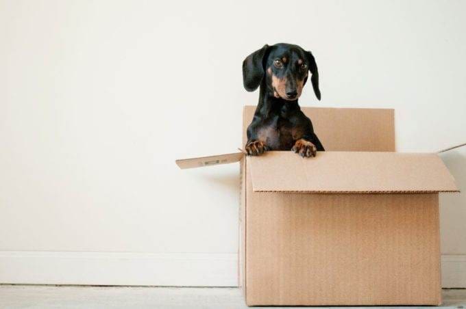 6 Cost Saving Tips save on moving costs