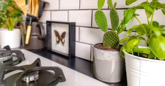 Reasons To Install a Backsplash in Your Kitchen