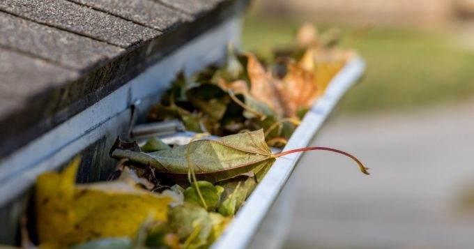 Basic Steps To Clean Your Gutters at Home