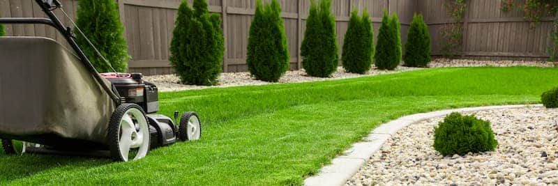 Getting Your Yard Ready For Sale